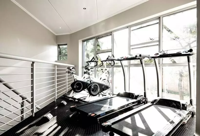 Fotos del hotel Insignia Luxury Apartments:  14