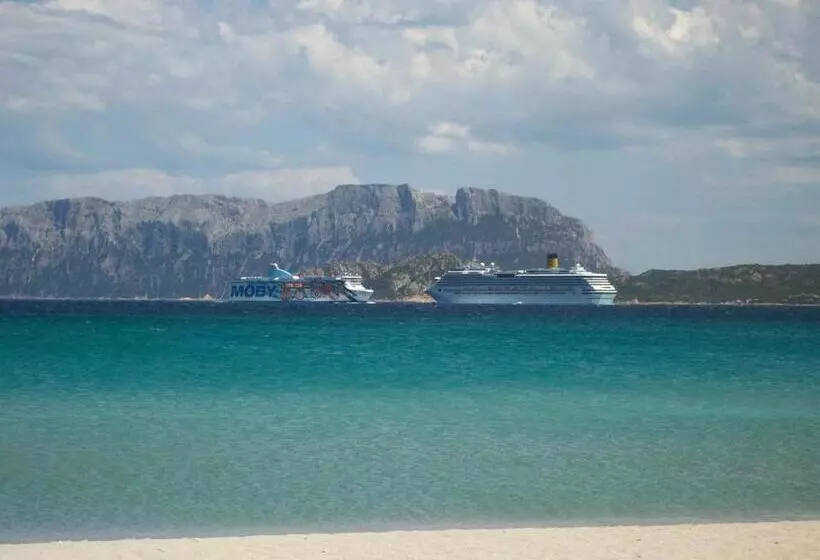 Fotos del hotel Terranova:  13