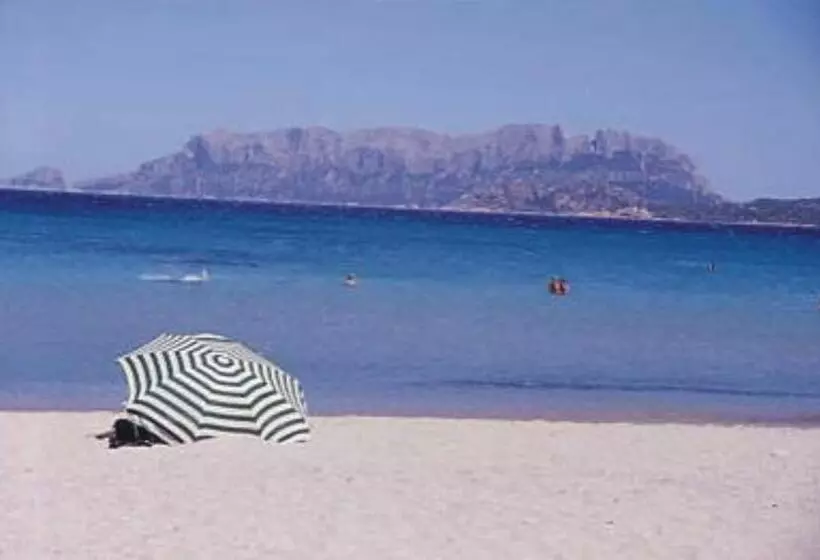 Fotos del hotel Terranova:  17