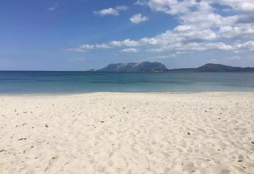 Fotos del hotel Terranova:  7