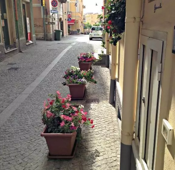 Fotos del hotel Terranova:  4