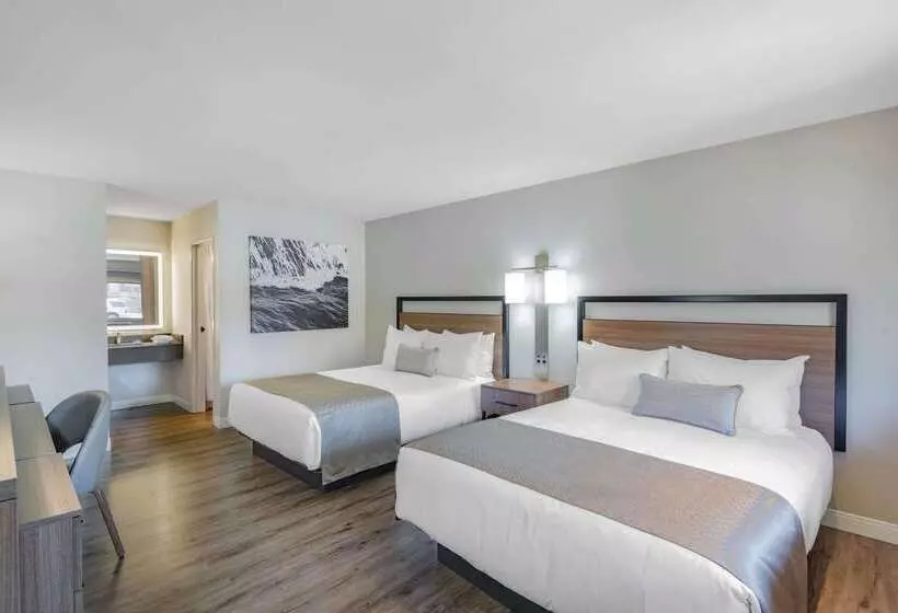 Fotos del hotel Wyndham Garden San Diego:  7