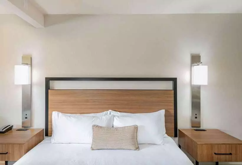 Fotos del hotel Wyndham Garden San Diego:  11