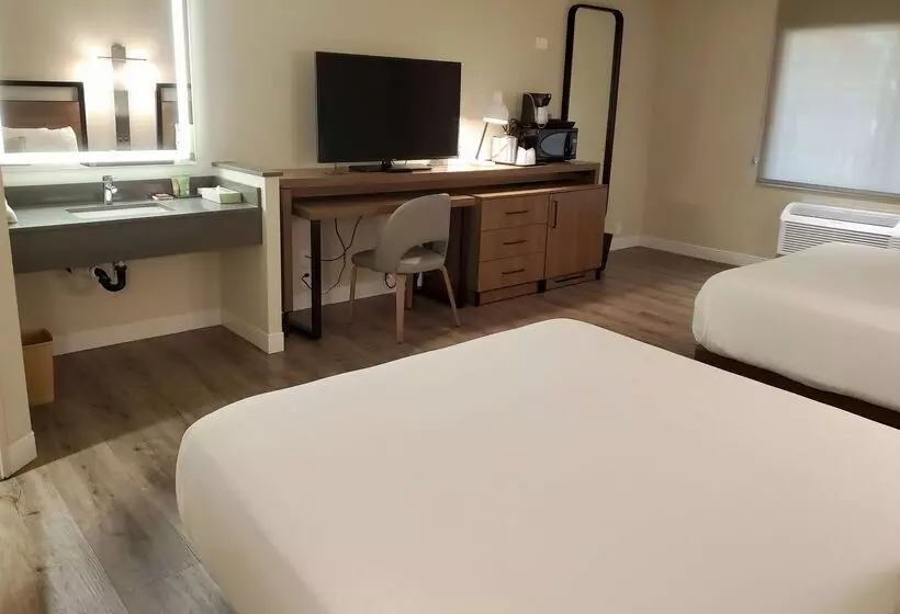 Fotos del hotel Wyndham Garden San Diego:  9