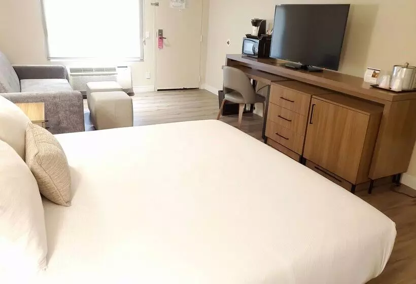 Fotos del hotel Wyndham Garden San Diego:  5