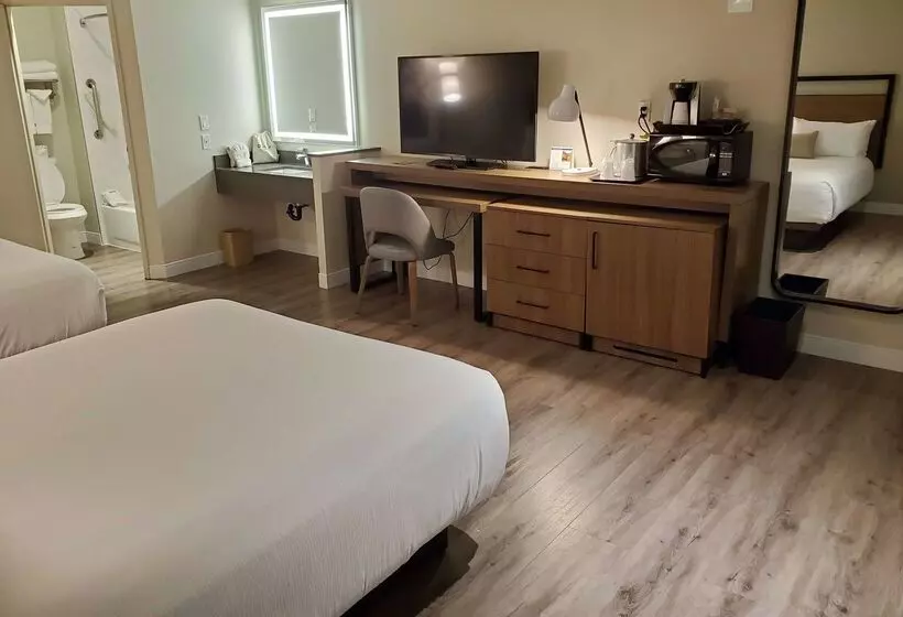 Fotos del hotel Wyndham Garden San Diego:  20