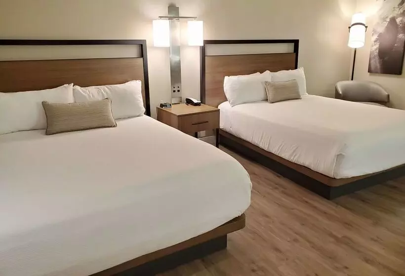 Fotos del hotel Wyndham Garden San Diego:  16