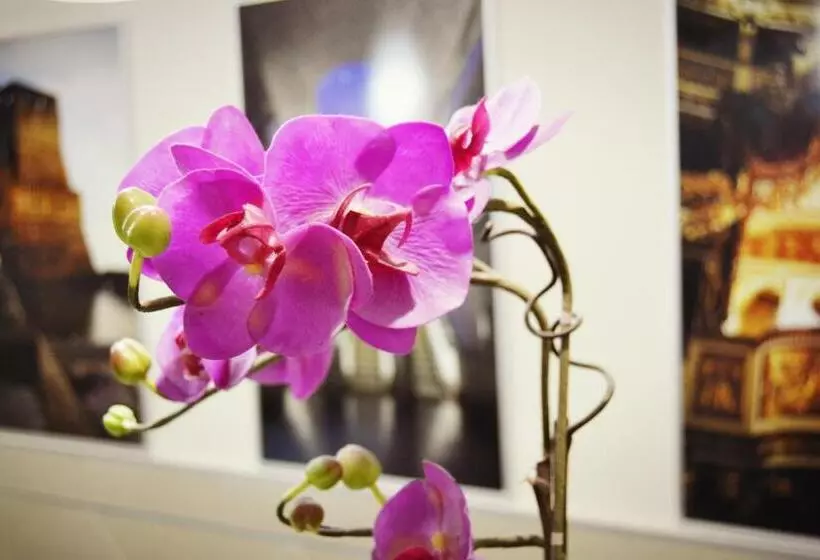 Fotos del hotel Colombo:  23