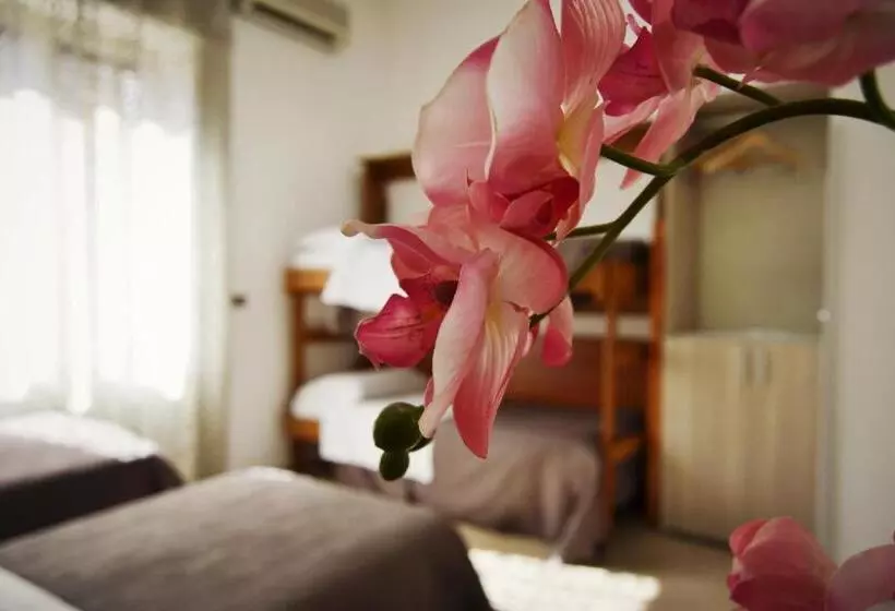 Fotos del hotel Colombo:  10