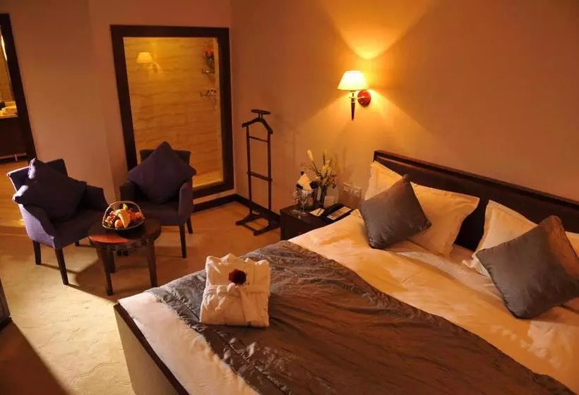 Fotos del hotel Ramada Plaza Pudong Shanghai:  20