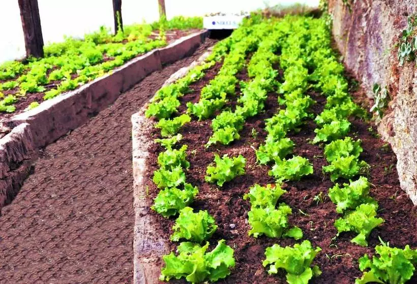 Fotos del hotel Lusitania Congress & Spa:  21