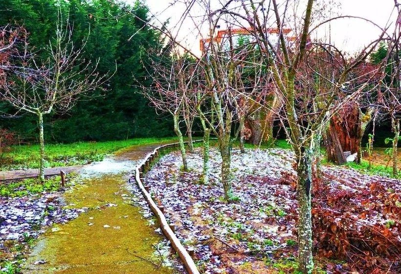 Fotos del hotel Lusitania Congress & Spa:  25