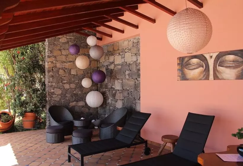 Fotos del hotel Ocean Gardens:  17