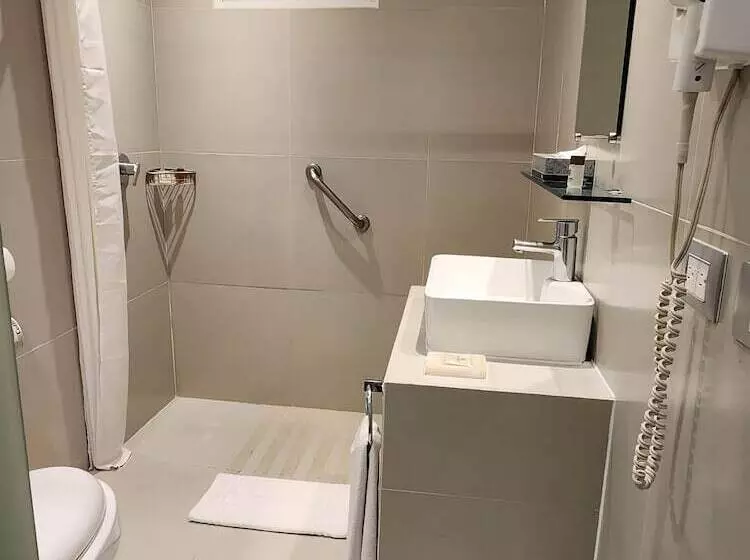 Fotos del hotel Ritz Ciudad De Mexico:  6