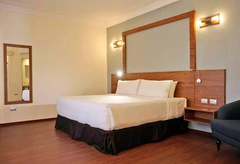 Fotos del hotel Ritz Ciudad De Mexico:  17