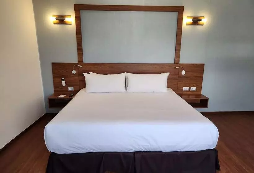 Fotos del hotel Ritz Ciudad De Mexico:  8