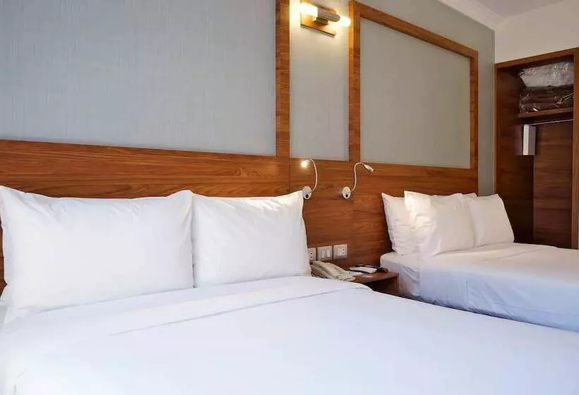 Fotos del hotel Ritz Ciudad De Mexico:  15