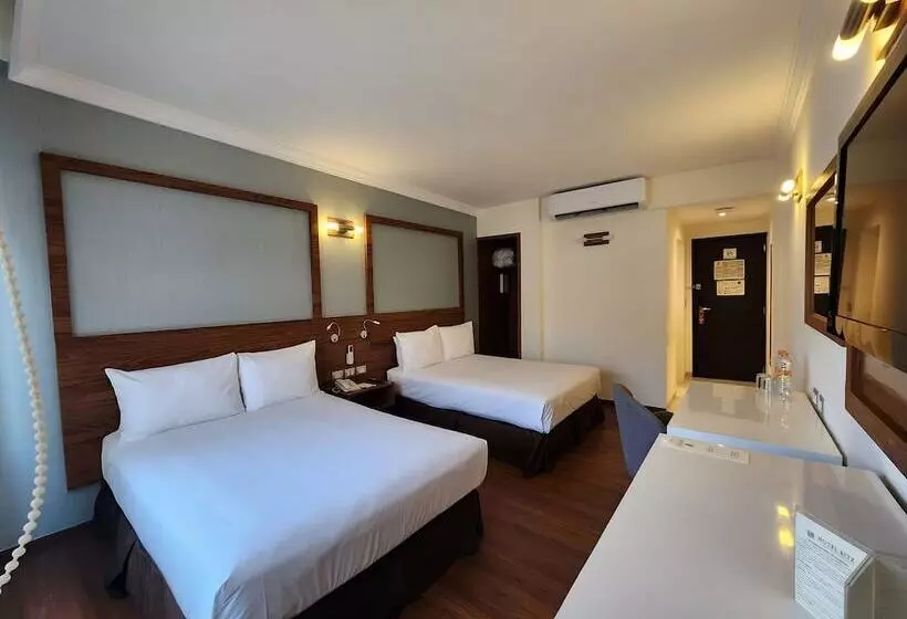 Fotos del hotel Ritz Ciudad De Mexico:  12