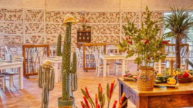 Fotos del hotel Dit Evrika Beach Club   All Inclusive:  16