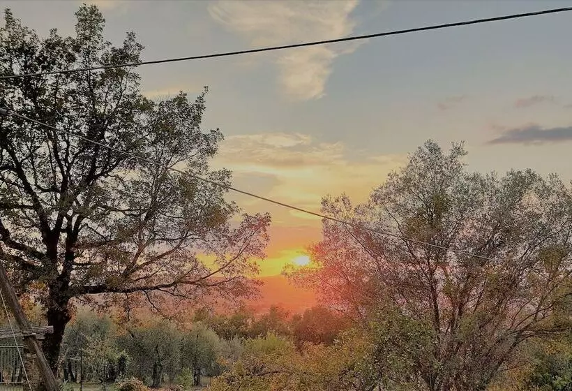 Fotos del hotel Fattoria Il Milione Agriturismo:  9