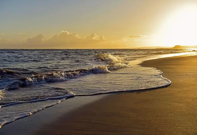 Fotos del hotel Iberostar Costa Dorada:  44