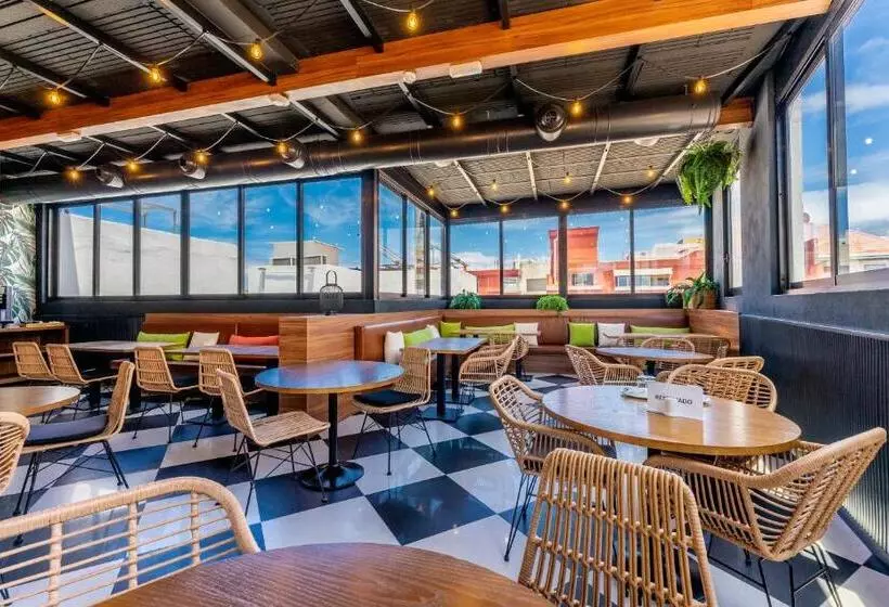 Fotos del hotel Dwo Nopal:  15