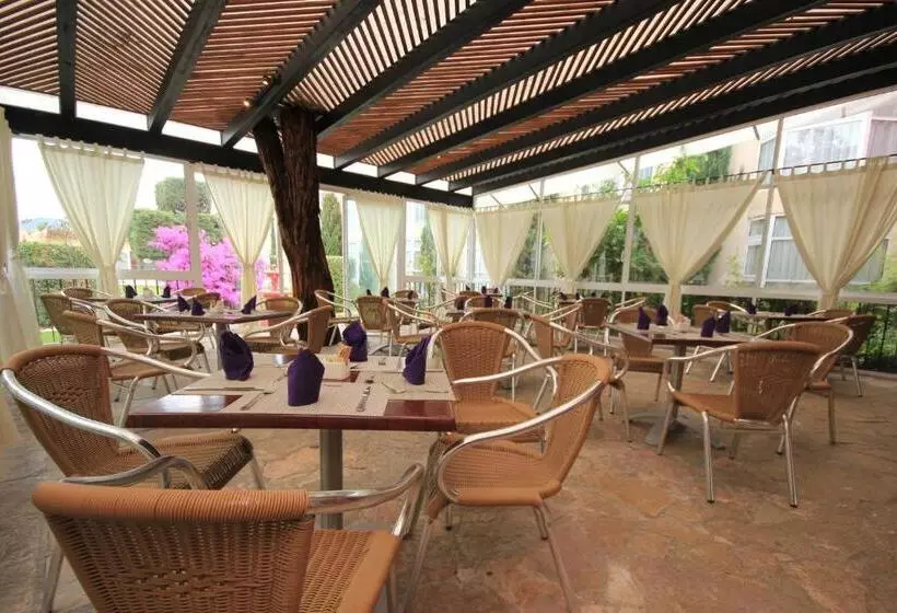 Fotos del hotel Es Villa Mercedes San Cristobal:  10