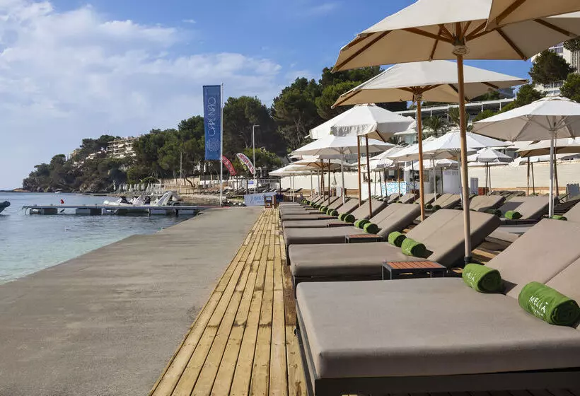 Fotos del hotel Meliá South Beach:  76