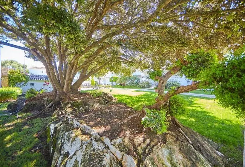 Fotos del hotel Prinsotel Mal Pas:  60