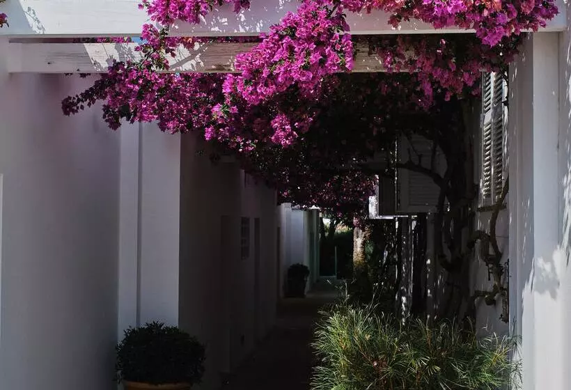 Fotos del hotel Prinsotel Mal Pas:  31