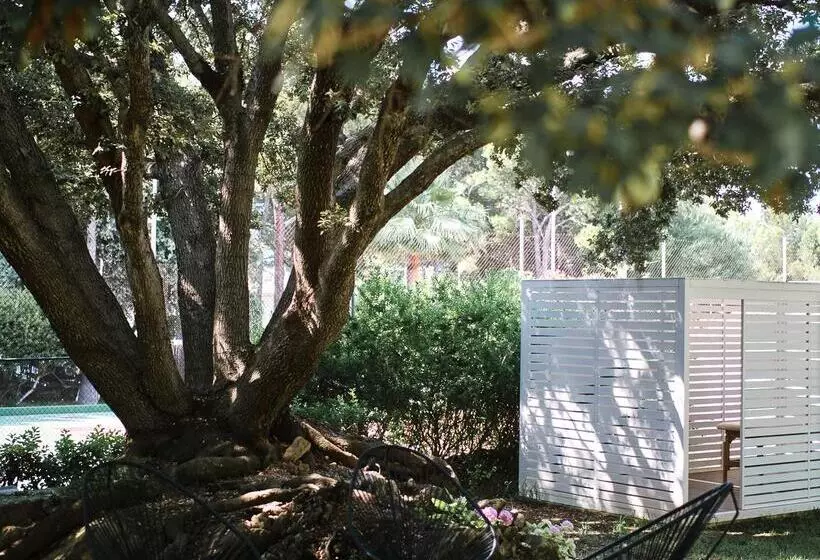 Fotos del hotel Prinsotel Mal Pas:  56