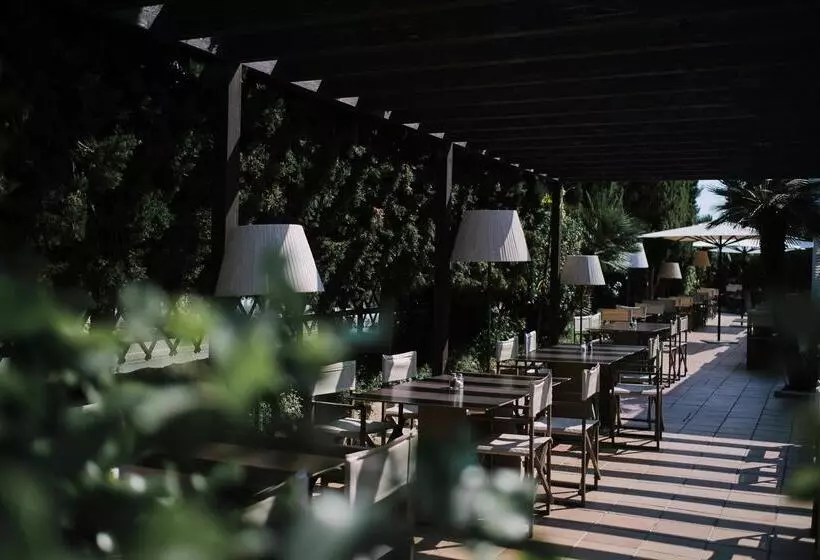 Fotos del hotel Prinsotel Mal Pas:  18