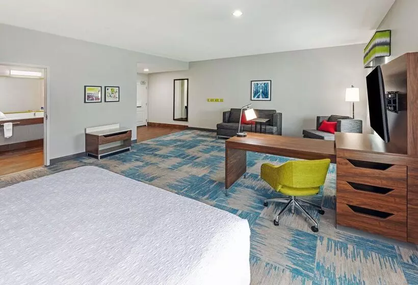 Fotos del hotel Hampton Inn And Suites Houston Central:  8