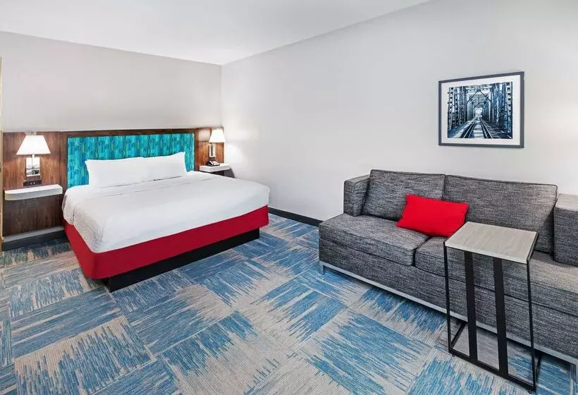 Fotos del hotel Hampton Inn And Suites Houston Central:  18