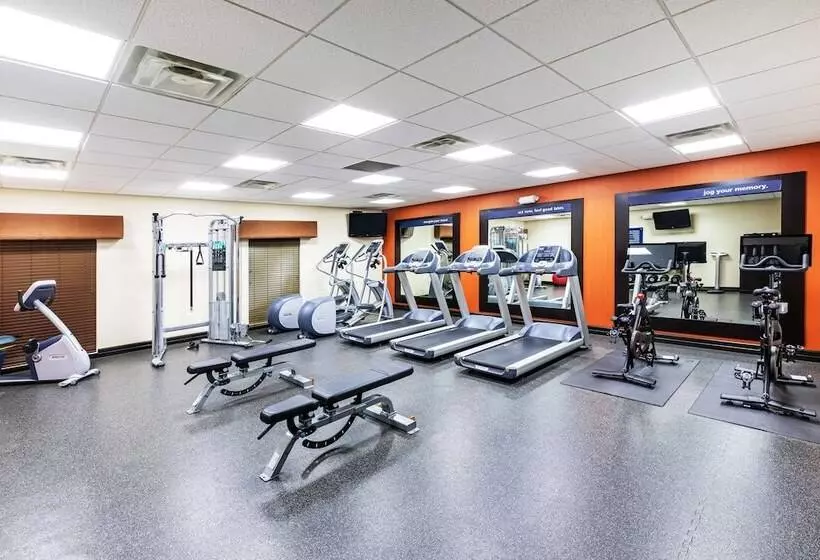 Fotos del hotel Hampton Inn And Suites Houston Central:  4