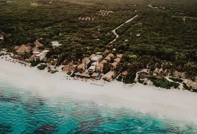 Fotos del hotel Akkuun Tulum - Adults Only:  8