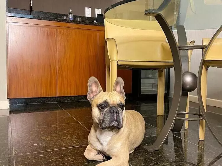 Fotos del hotel Promenade Palladium Leblon:  7