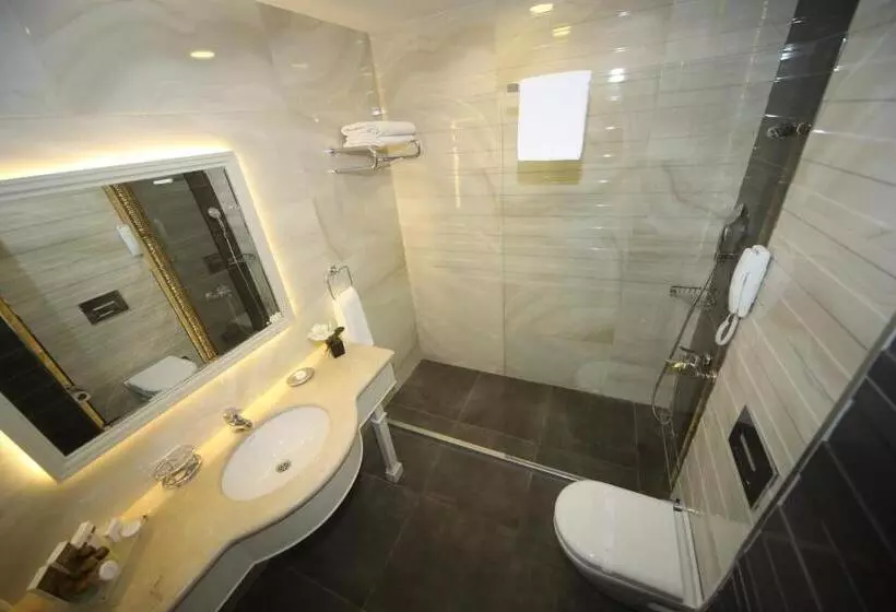 Fotos del hotel Bilek Istanbul:  13