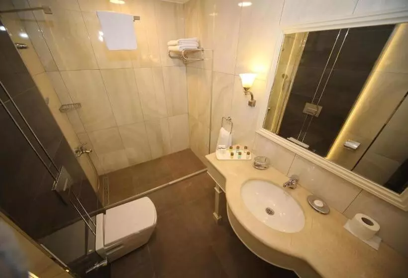 Fotos del hotel Bilek Istanbul:  15