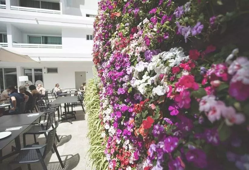 Fotos del hotel Labranda Bronze Playa:  11