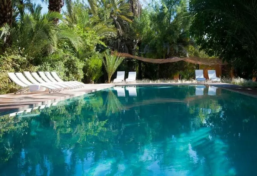 Fotos del hotel Jnane Tamsna:  2