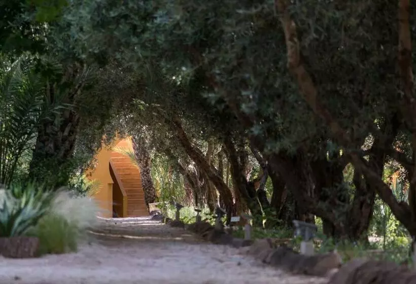 Fotos del hotel Jnane Tamsna:  8