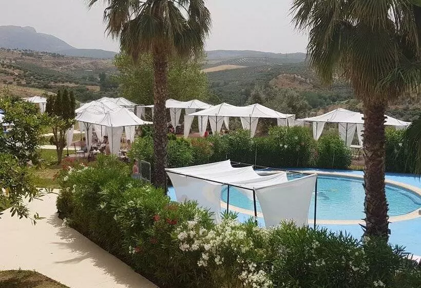 Fotos del hotel Almazara:  6