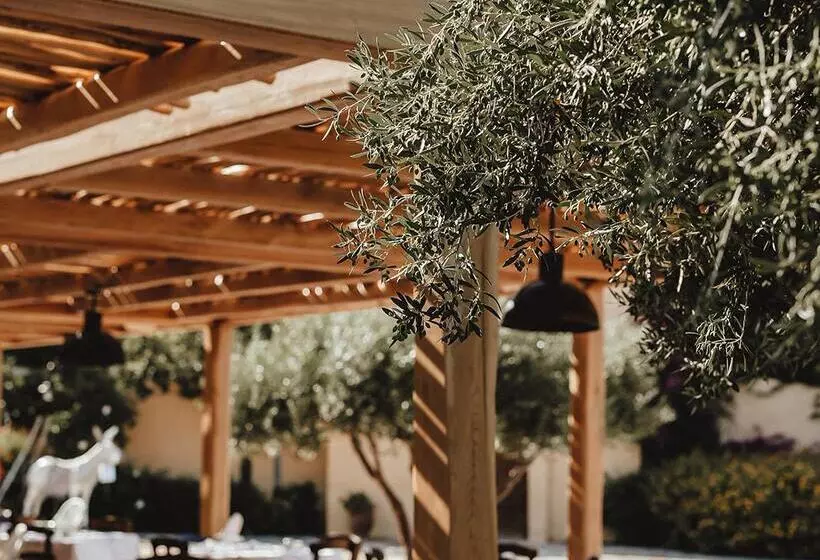 Fotos del hotel Candia Park Village:  16