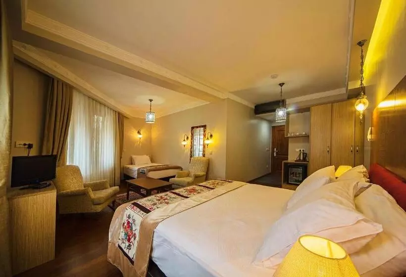 Fotos del hotel Hippodrome:  16