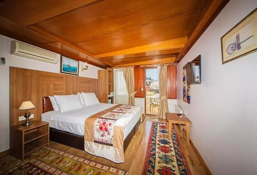 Fotos del hotel Hippodrome:  24