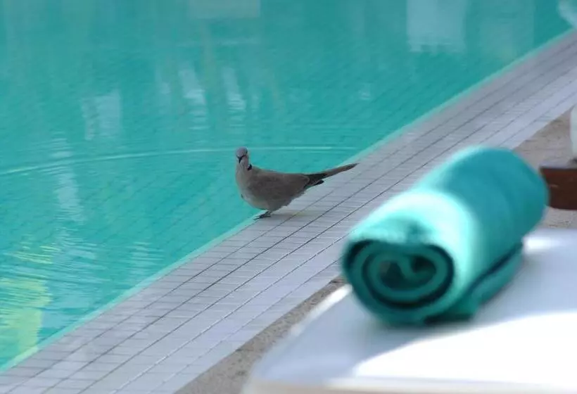 Fotos del hotel Les Jardins De La Médina:  2