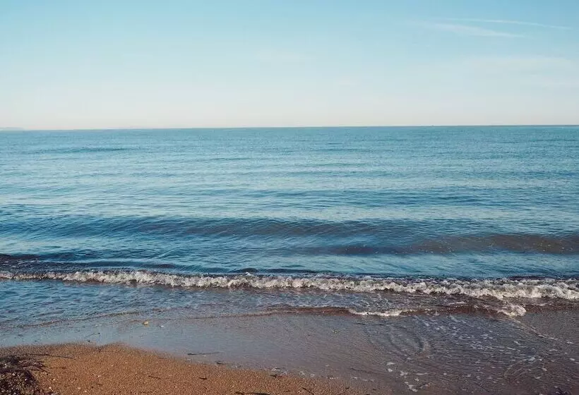 Fotos del hotel Noguera Mar:  17