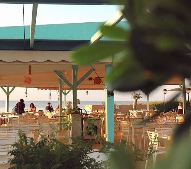 Fotos del hotel Noguera Mar:  14