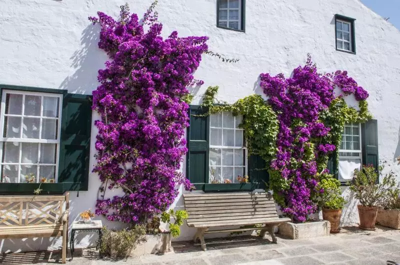 Fotos del hotel Rural Biniarroca - Adults Only:  11